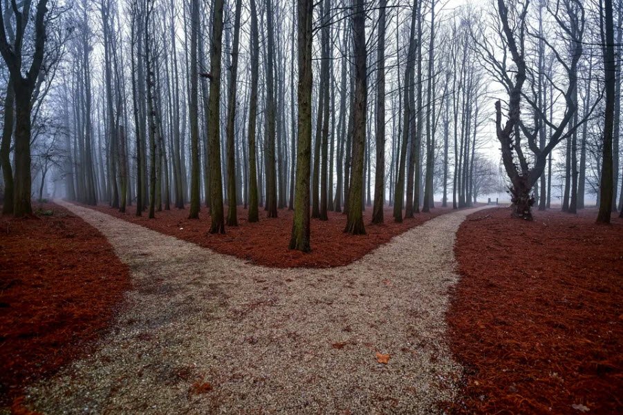 Tiszaigari arborétum Természetvédelmi terület, Tiszaigar, Hungary, Hungary